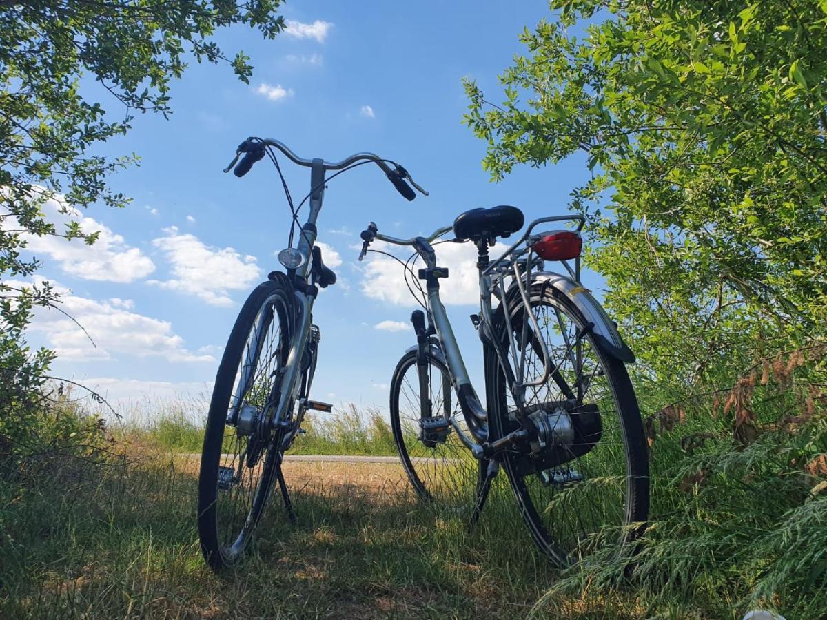 B&B De Donk Brandwijk エクステリア 写真